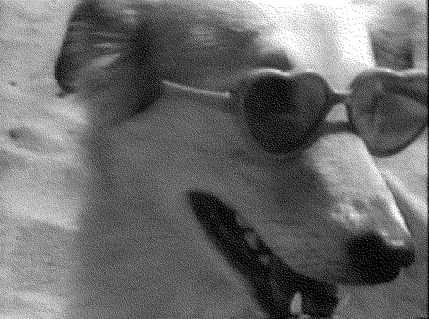 black and white image of a dog wearing heart sunglasses