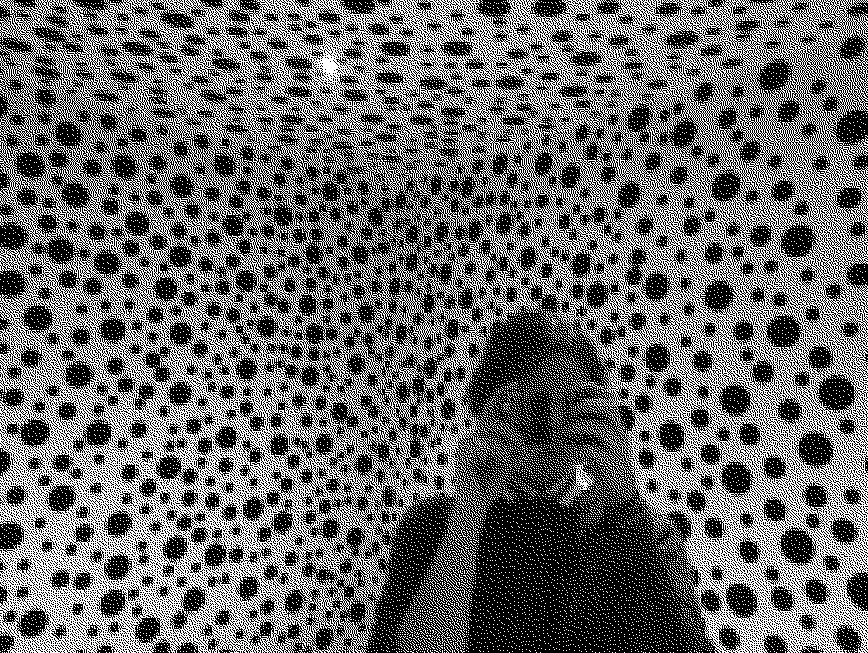 A small black and white image of a girl taking a mirror selfie in a room covered in dots