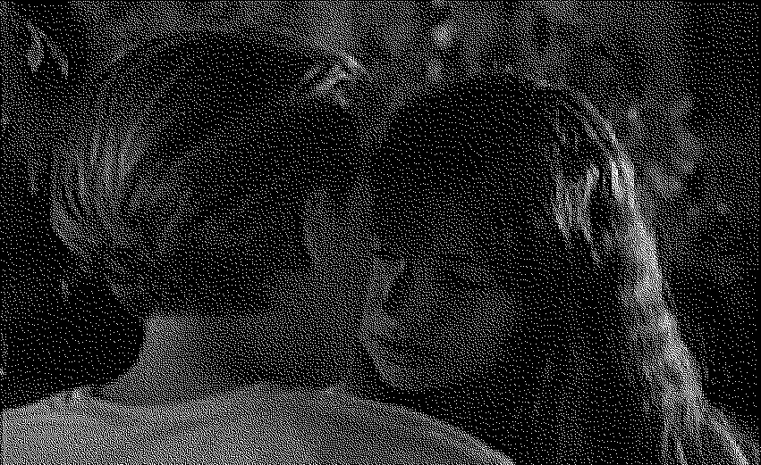 Black and white rendered image of a white woman with short blonde hair facing another white woman with long, brown hair as they lean in for a kiss, from the movie If These Walls Could Talk 2