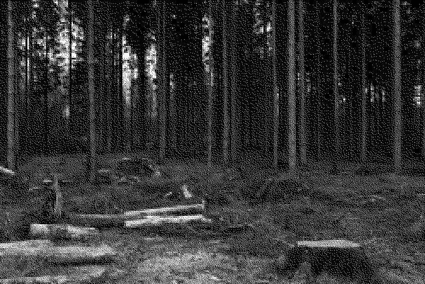 black and white pixelated rendering of a forest clearing